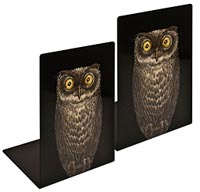 Fornasetti bookends