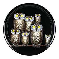 Fornasetti Trays