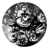 Fornasetti plates